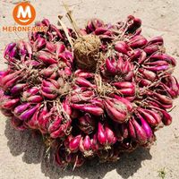 Hành tím khô không hóa chất Ông Thắng