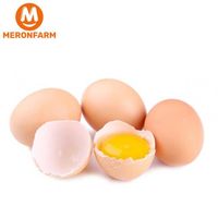 Trứng gà Bảo Bảo - Hộp 10 quả