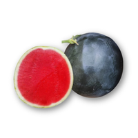 Dưa hấu Hắc Tiểu Long