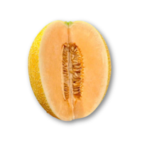 Dưa lưới Hoàng Long