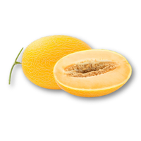 Dưa lưới Huỳnh Long
