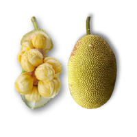 Mít tố nữ loại nhỏ
