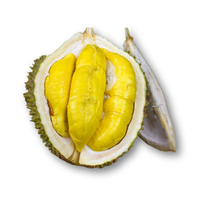 Sầu riêng Ri6