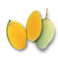 Xoài nghệ