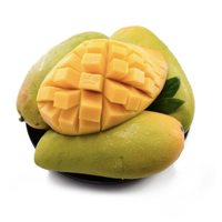 Xoài Cát Hòa Lộc - Ông 6 Lới