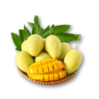 Xoài cát chu Hai Cù Lao - Loại 2