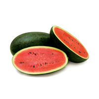 Dưa hấu size lớn Tameco