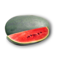 Dưa hấu hắc mỹ nhân.png