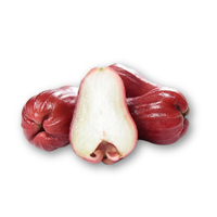 Mận An Phước Trà Vinh