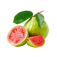 Ổi đỏ