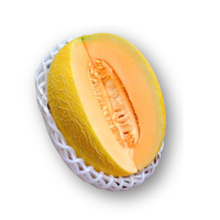 Dưa lưới Sungold