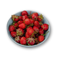 Dâu tây (Sinh tố)