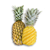 Dứa Queen Đồng Din EcoHill