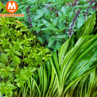 Set rau nêm canh chua - Túi 150gr