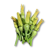 Bí bao tử - hộp 500gr