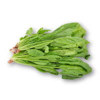 Cải bó xôi