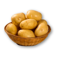 Khoai tây