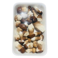 Nấm mối đen Loại 1 Én Việt - Khay 200gr