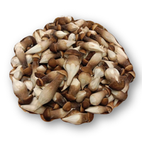 Nấm mối đen Huỳnh Gia loại 3 - khay 250gr