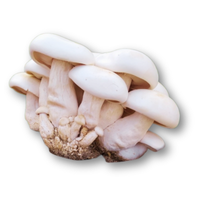 Nấm hoàng đế Huỳnh Gia - khay 250gr