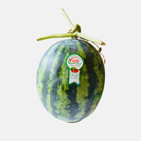 Dưa hấu sọc mỹ THL