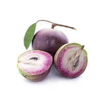 Vú sữa tím hữu cơ Quế Lâm