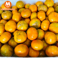 cam-canh-3T-farm-meronfarm (2).png