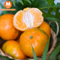 cam-canh-3T-farm-meronfarm (3).png