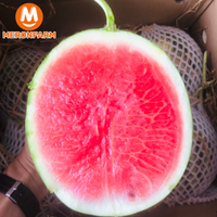 dua-hau-huu-co-que-lam-meronfarm (3).png