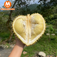 sau-rieng-monthong-meronfarm.png