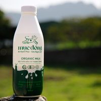 sua khong duong - 900ml.JPG