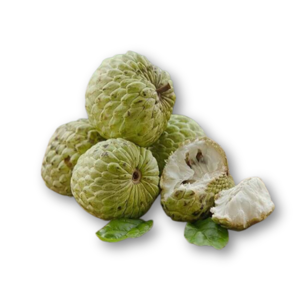 Mãng cầu na Thái.png