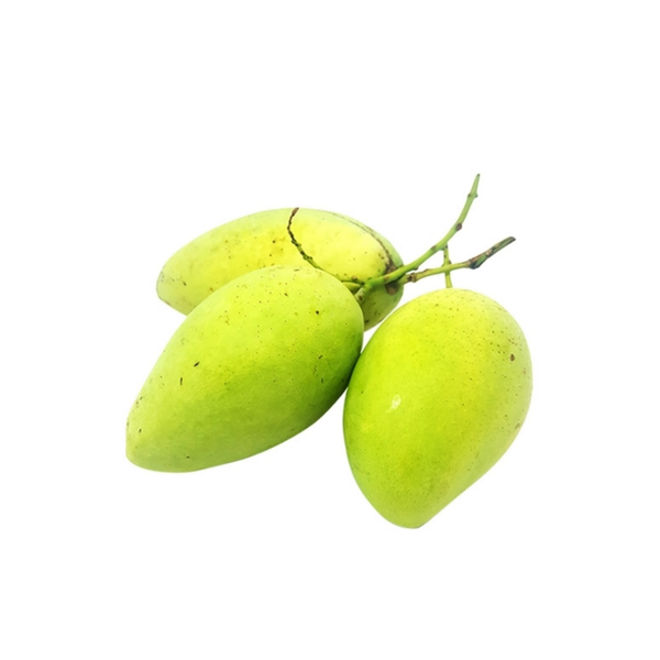 Xoài cát chu Hai Cù Lao.png