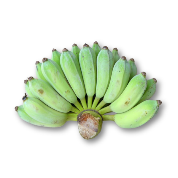 115.png