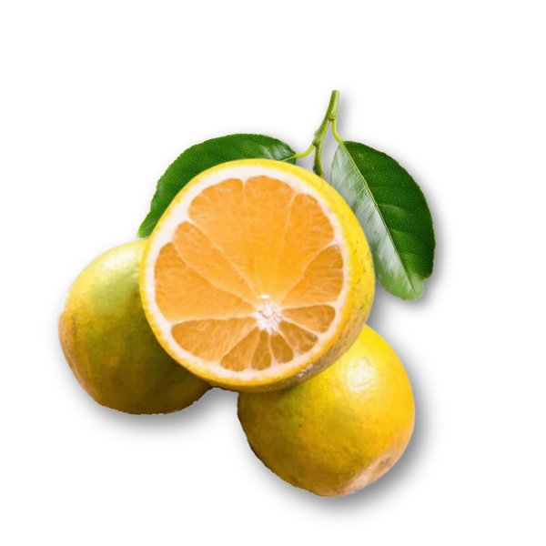 Cam lòng vàng 3T Farm.png