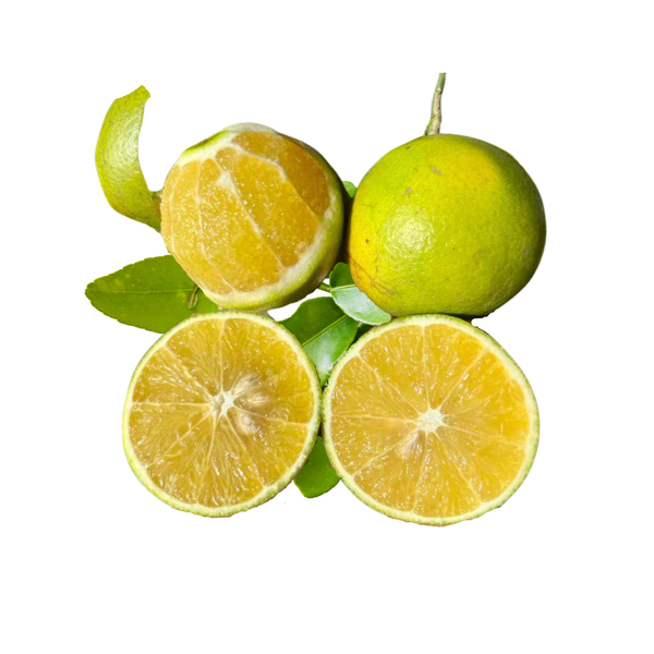 Cam xoàn Đồi Chư Păm.png