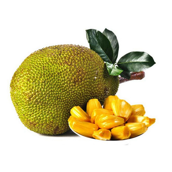 Mít nghệ.png