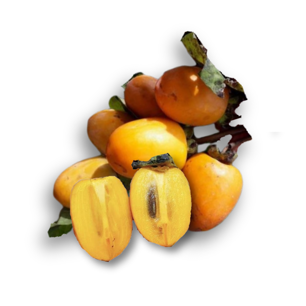 Hồng giòn cà rốt.png