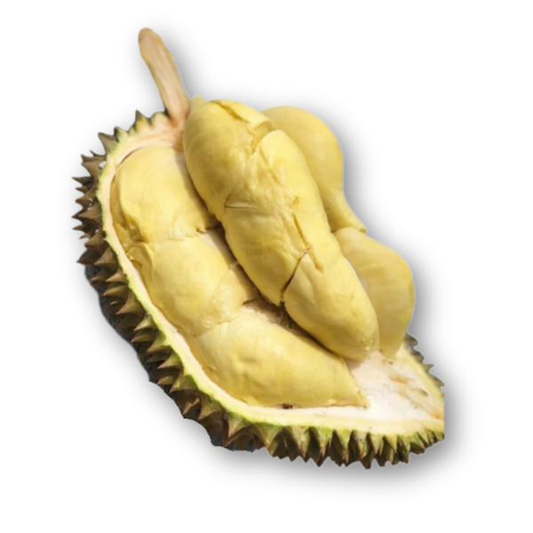 Sầu riêng Monthong.png