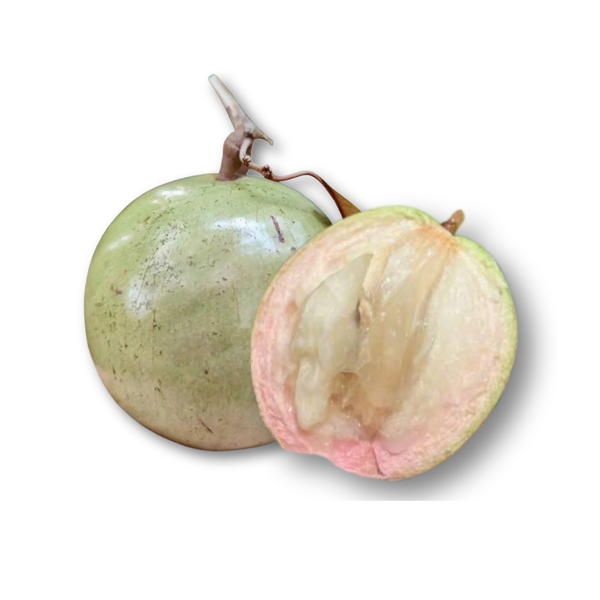 Vú sữa bơ hồng.png