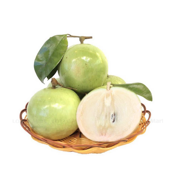 Vú sữa bơ hồng Ri2 - Loại 1.png