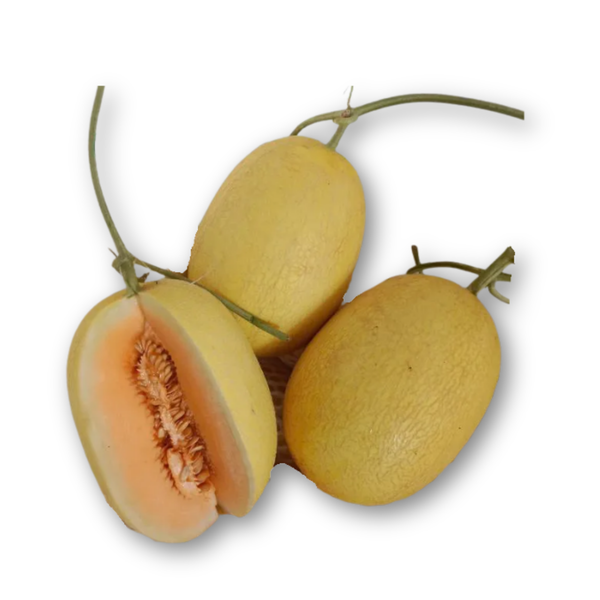 Dưa lưới VA74.png