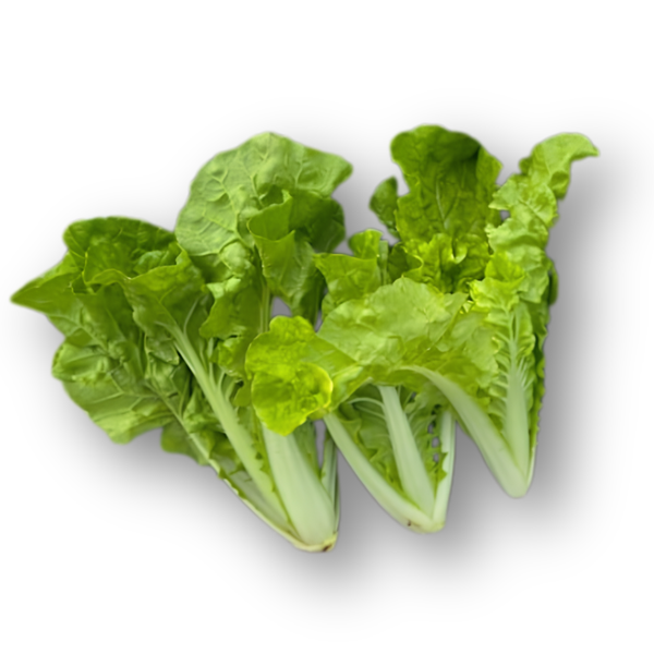 Cải bẹ dún non.png