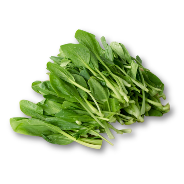 Cải ngọt non.png