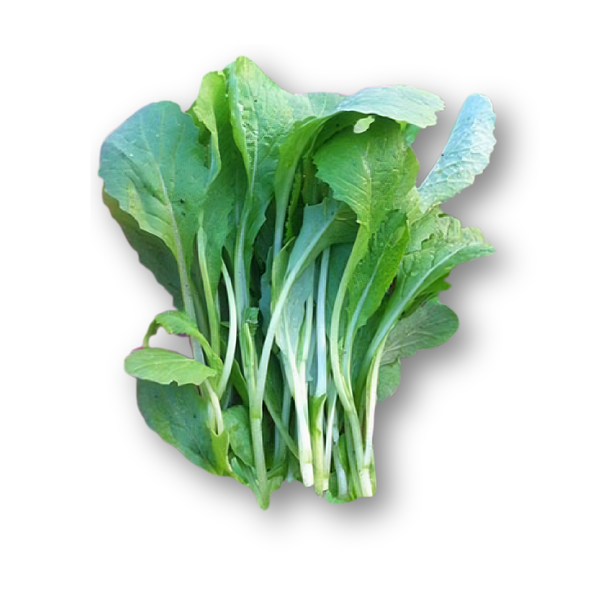 Rau cải xanh non.png
