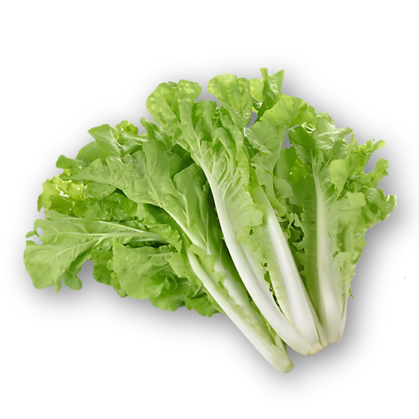 Cải bẹ dún.png