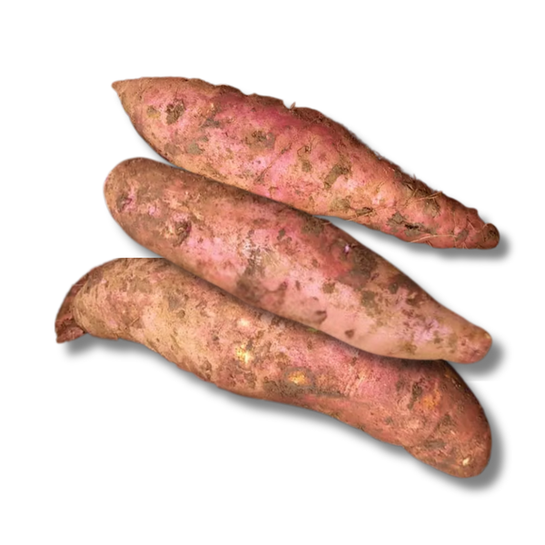 Khoai lang lệ cần.png