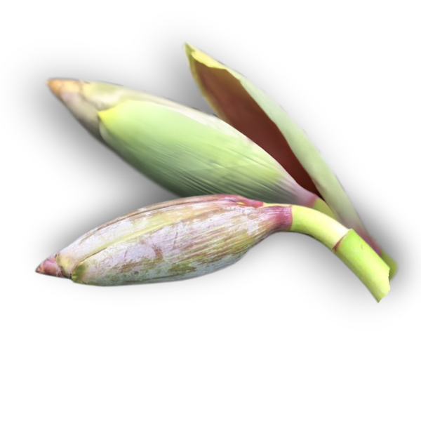 Bắp chuối hột.png