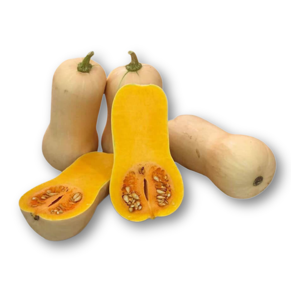 Bí đỏ hạt đậu.png