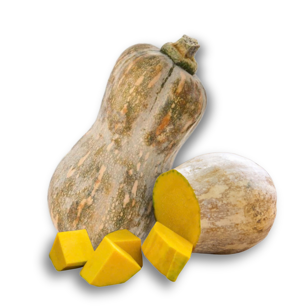 bí đỏ.png